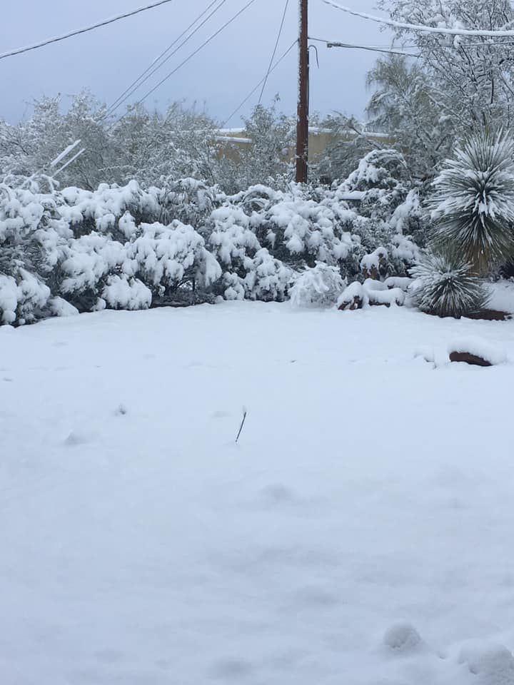 Snow in east ÃÛèÖÖ±²¥